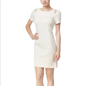 NWT Kensie Ivory Dress